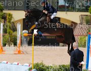 CURCIO CARRY MONEY CampITA2013- S5 0346 : CARRY MONEY, CURCIO SERENA, Campionati Italiani 2013, Cattolica, Horse Riviera Resort, foto di Stefano Secchi ©